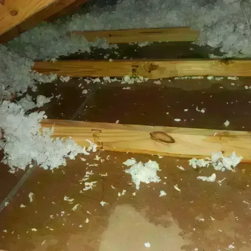 Attic Water Damage in Ellisville, MS