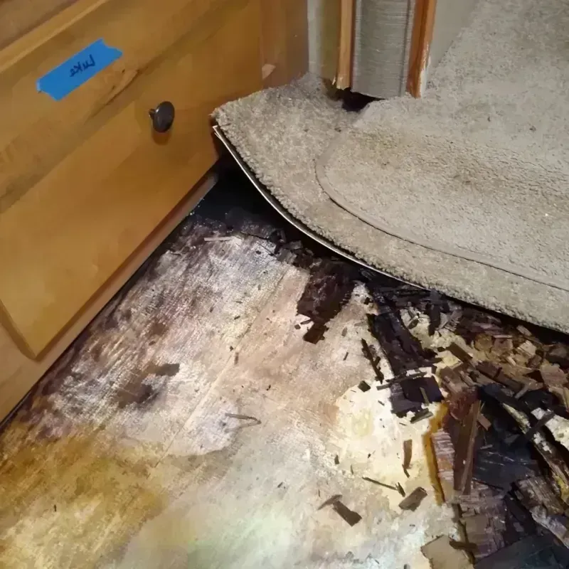 Best Wood Floor Water Damage Service in Ellisville, MS